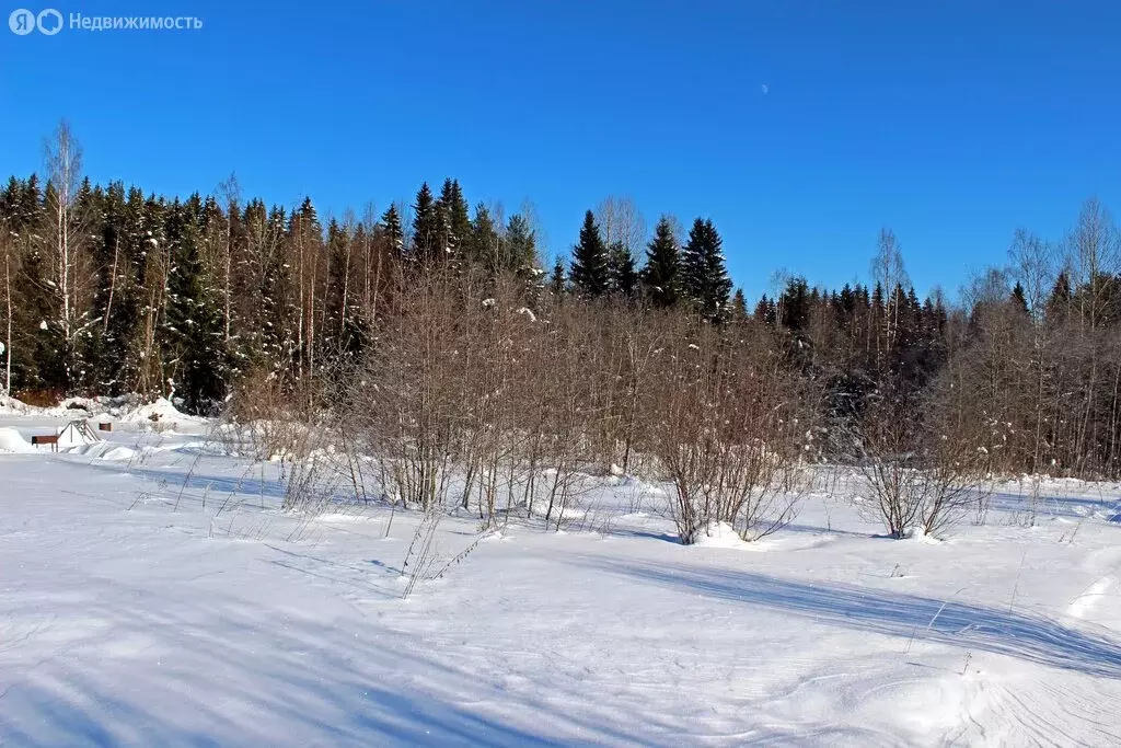 Участок в Республика Карелия, Лахденпохья (13.75 м) - Фото 2