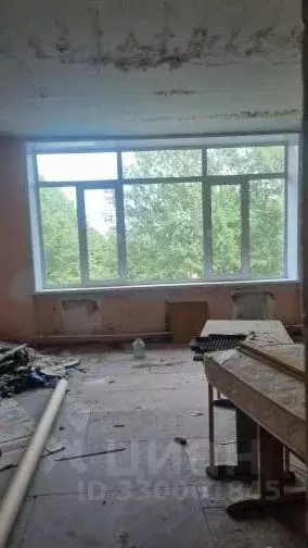 Помещение свободного назначения в Камчатский край, Елизовский ... - Фото 2