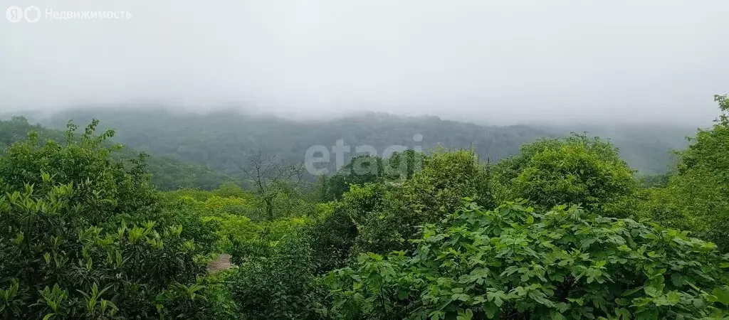 Участок в Сочи, Адлерский район (5.2 м) - Фото 1