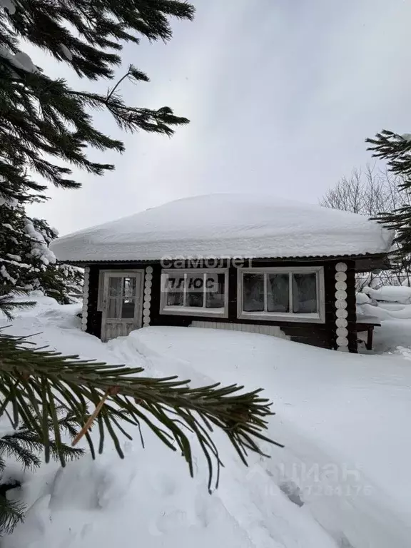 Участок в Коми, Корткеросский район, Додзь муниципальное образование, ... - Фото 1