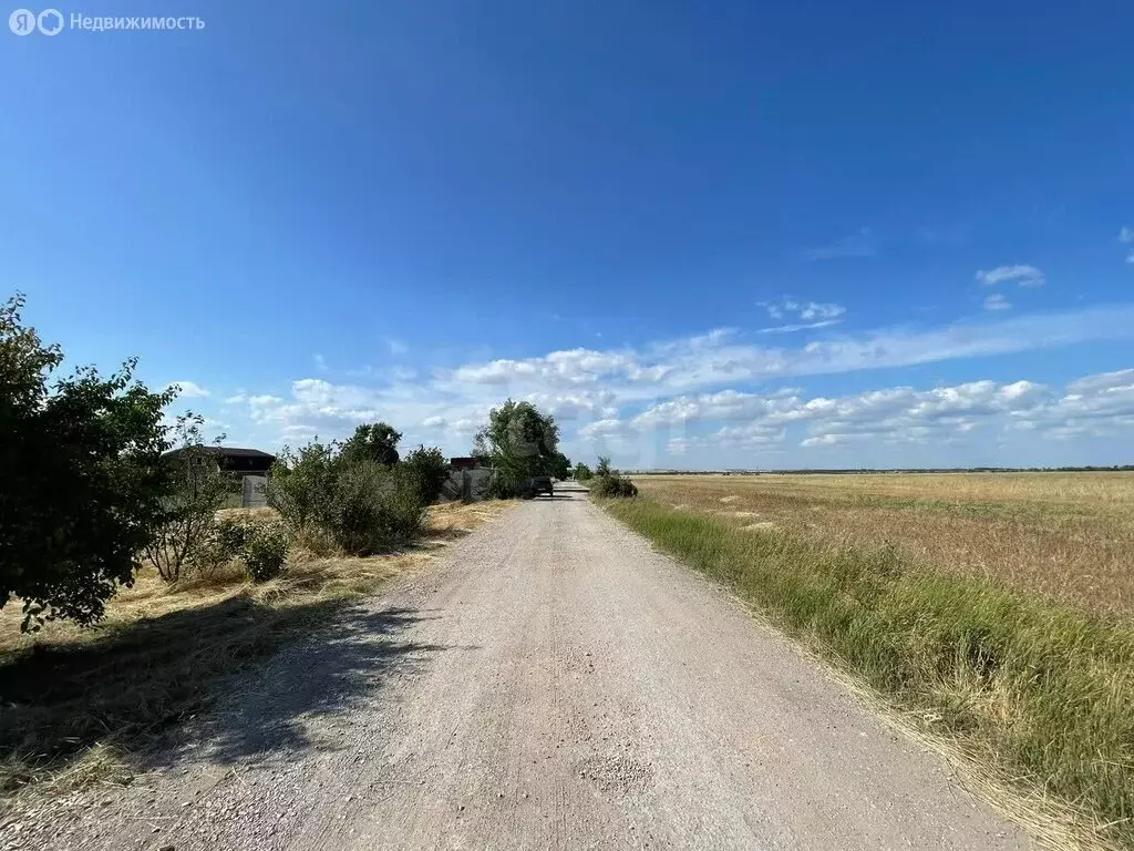 Участок в Перовское сельское поселение, дачный массив Новозбурьевка, ... - Фото 1