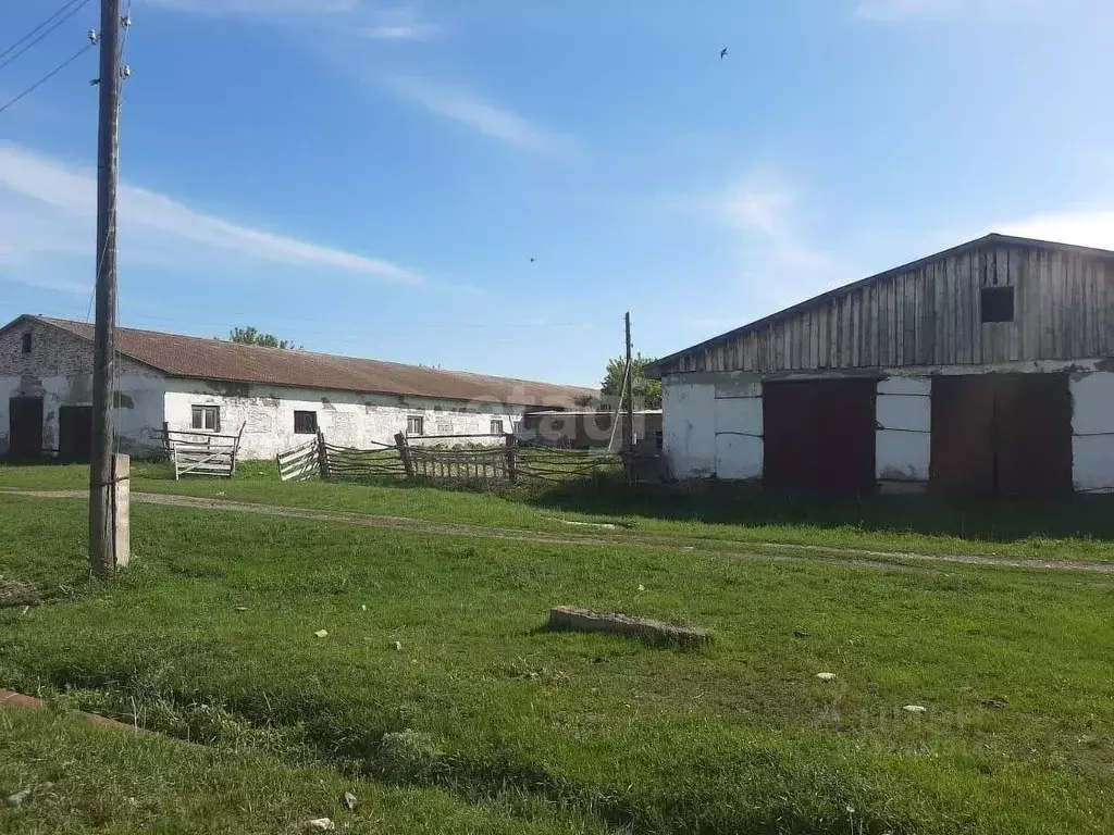 Склад в Алтайский край, Краснощековский район, Маралихинский ... - Фото 1