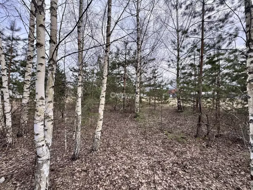 Участок в Московская область, Одинцово Отдых СНТ, 16 (8.63 сот.) - Фото 1