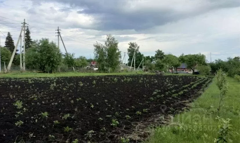 Дом в Липецкая область, Краснинский муниципальный округ, с. Бредихино ... - Фото 2