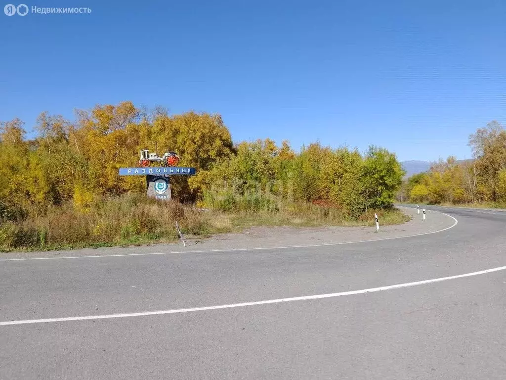 Участок в Елизовский район, посёлок Раздольный (53 м) - Фото 0