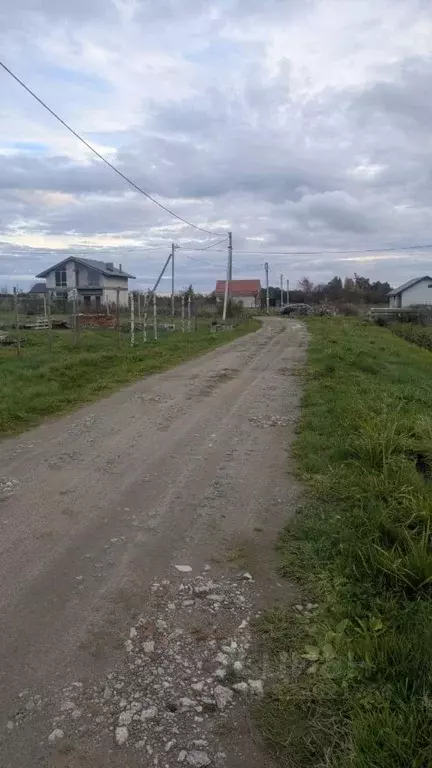 Участок в Калининградская область, Зеленоградск пос. Сосновка,  (7.75 ... - Фото 1