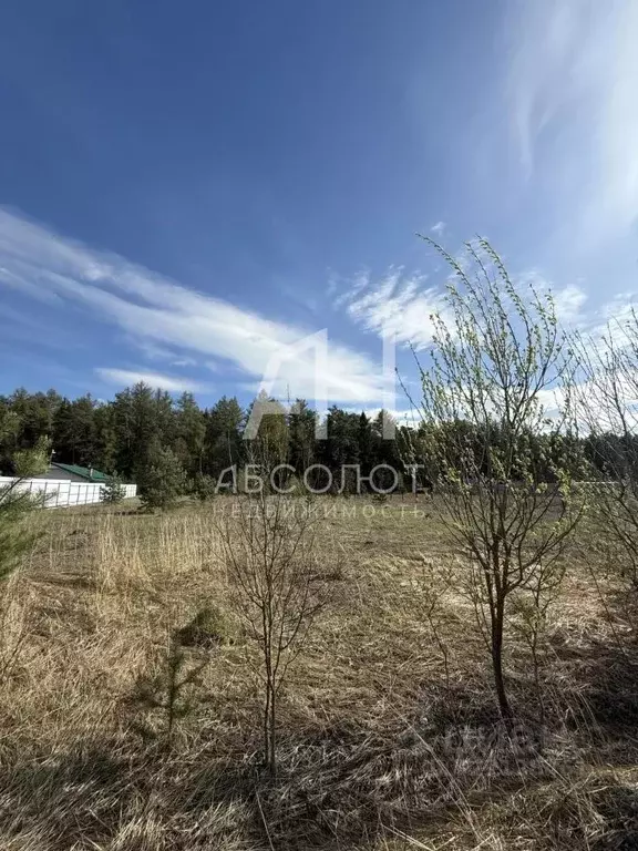 Участок в Московская область, Щелково городской округ, д. Вторая ... - Фото 2