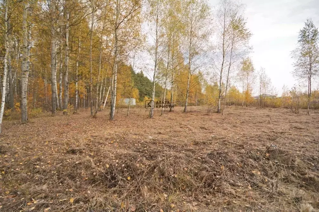 Участок в Московская область, Павловский Посад Мишутинская слобода кп, ... - Фото 1