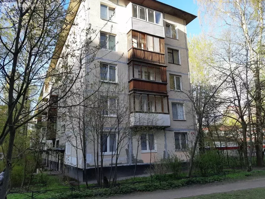 1-комнатная квартира: Санкт-Петербург, Светлановский проспект, 109к2 ... - Фото 1