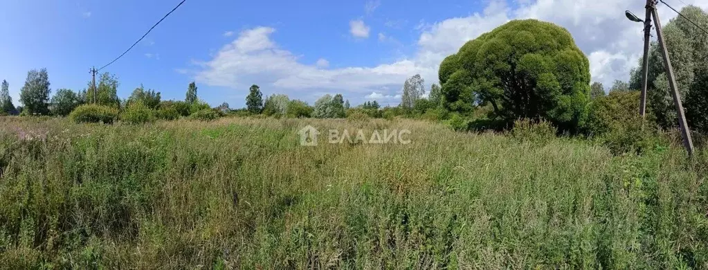 Участок в Карелия, Олонецкое городское поселение, д. Верховье ул. ... - Фото 1