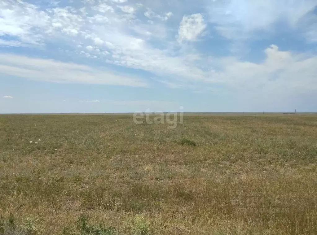 Участок в Крым, Сакский район, с. Ромашкино ул. Интернациональная ... - Фото 0