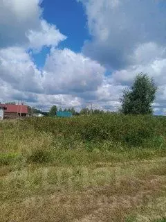 Участок в Свердловская область, Белоярский муниципальный округ, д. ... - Фото 2