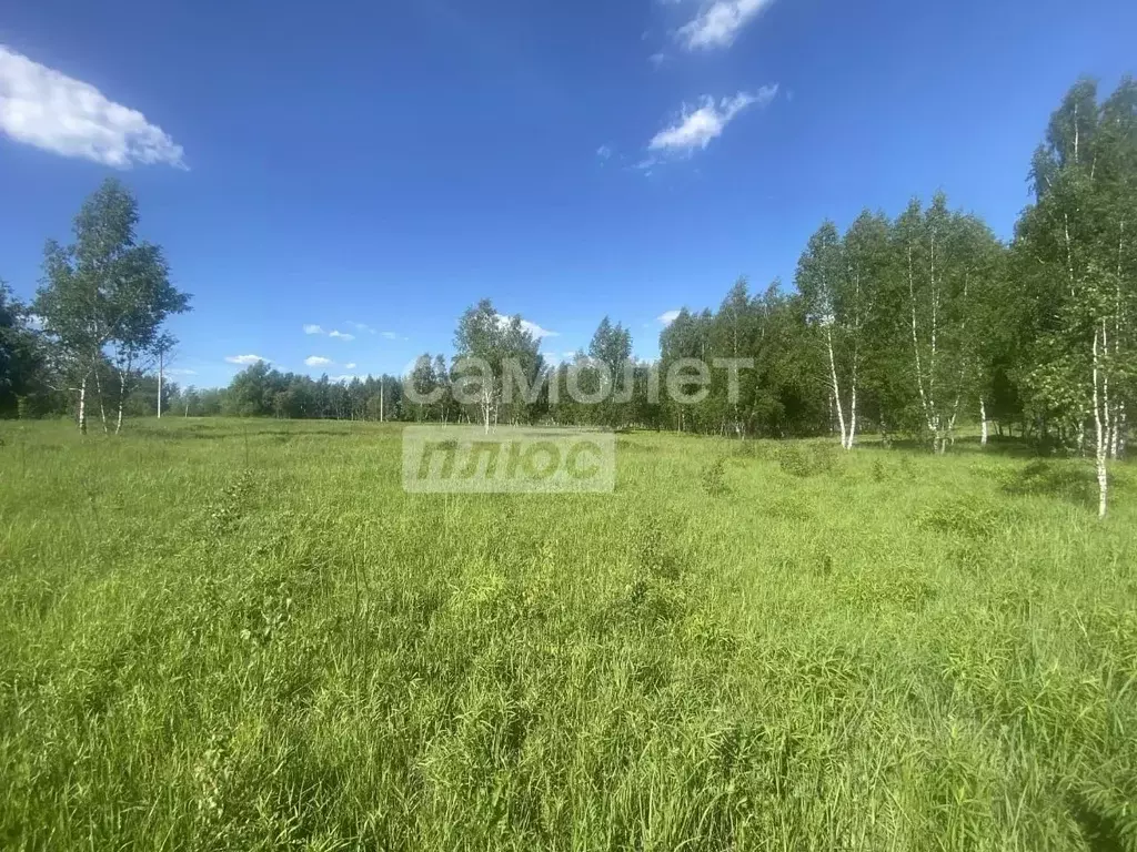 Участок в Алтайский край, Первомайский район, с. Фирсово Цветочная ул. ... - Фото 1