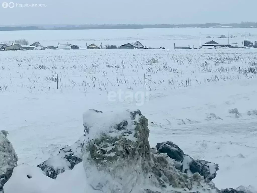 Участок в Кушнаренковский район, Старокурмашевский сельсовет, село ... - Фото 2