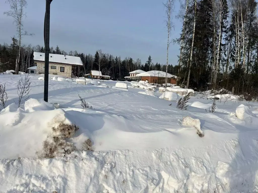 Участок, 5 сот., поселения (ижс) - Фото 1