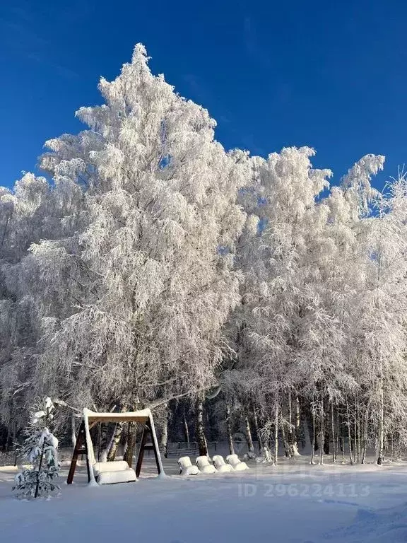 Дом в Тульская область, Заокский район, Малаховское с/пос, Капитанский ... - Фото 2