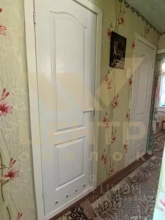 2-к кв. Алтайский край, Рубцовск Октябрьская ул., 018 (52.0 м) - Фото 1