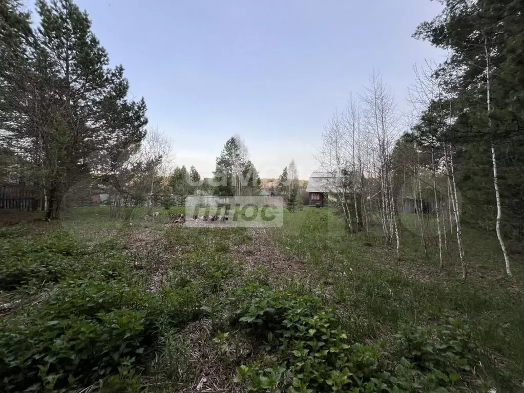 Участок 10,6 сот. (СНТ, ДНП) - Фото 0