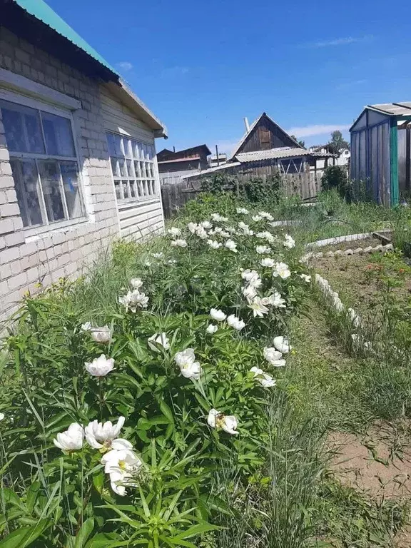 Участок в Забайкальский край, Чита № 29 Лесная Поляна ДНТ,  (5.91 ... - Фото 1