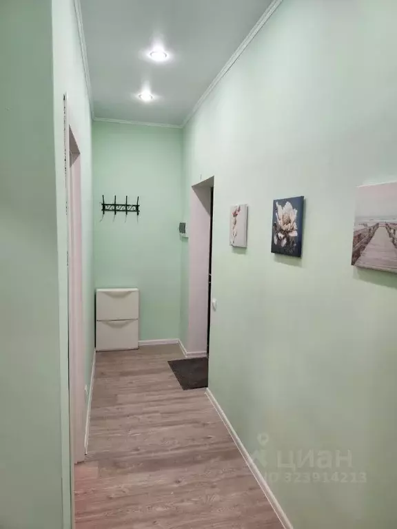 1-к кв. Московская область, Истра муниципальный округ, с. Павловская ... - Фото 2