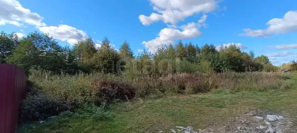 Участок в Владимирская область, Петушинский муниципальный округ, д. ... - Фото 2