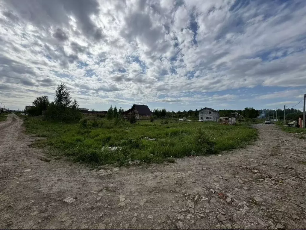 Участок в Новосибирская область, Новосибирский район, Станционный ... - Фото 2