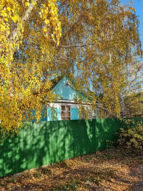 Дом в Омская область, Омск Лотос СНТ, аллея 6-я (18 м) - Фото 2