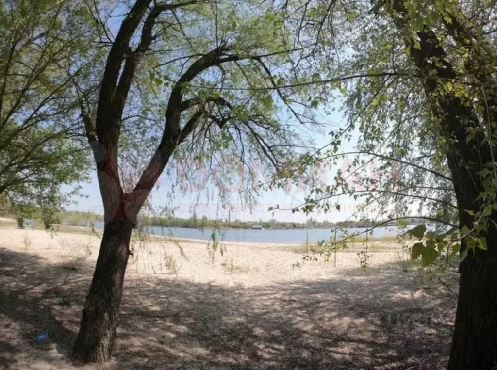 Участок в Ростовская область, Багаевская ст-ца пер. Воровского (6.0 ... - Фото 1