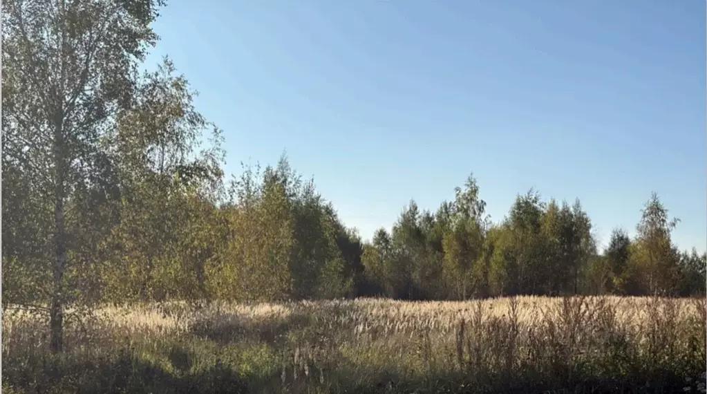 Участок в Московская область, Кашира городской округ, д. Знаменское  ... - Фото 2