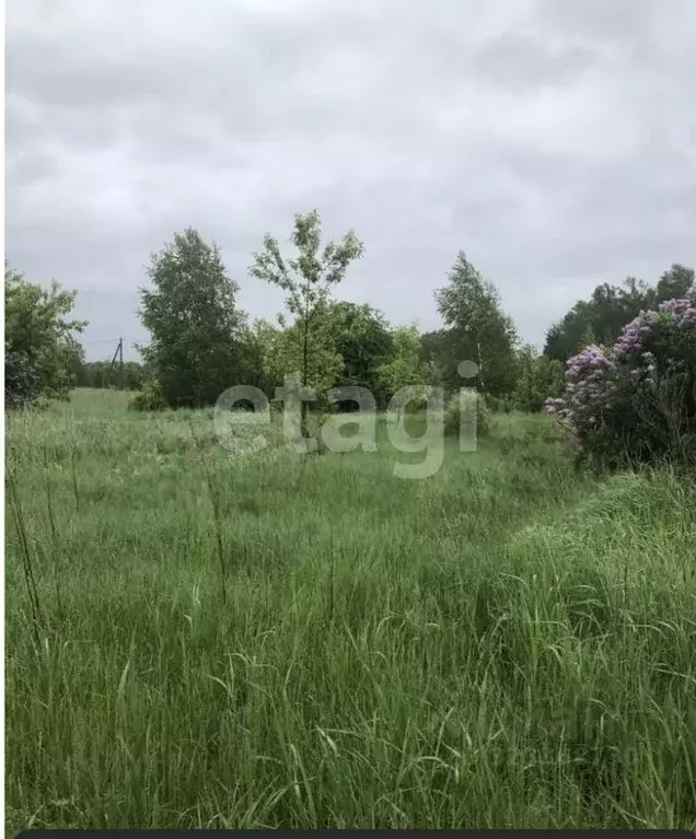 Участок в Алтайский край, Первомайский район, с. Санниково, Овощевод ... - Фото 1