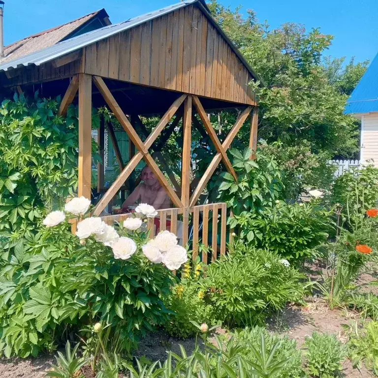 Дача 25 м на участке 6 сот. - Фото 0