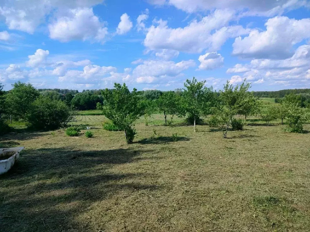 Продается участок в с. Григорьевское - Фото 1