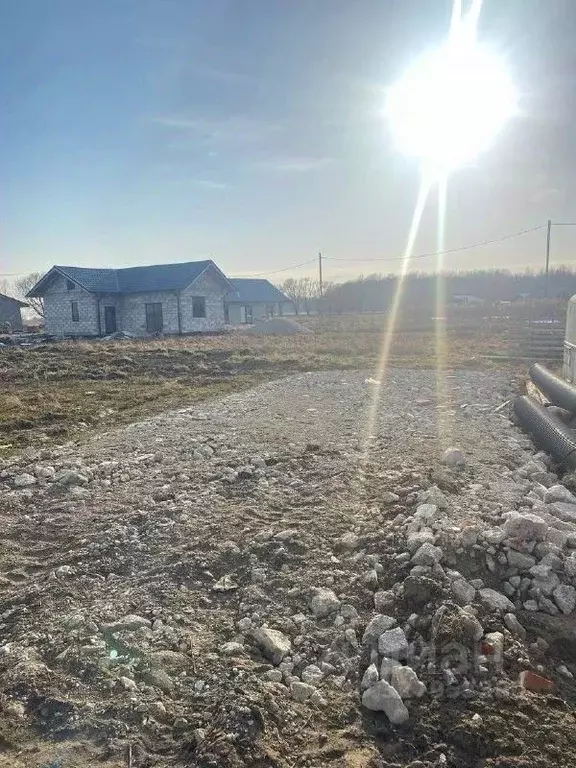 Участок в Калининградская область, Зеленоградский муниципальный округ, ... - Фото 1