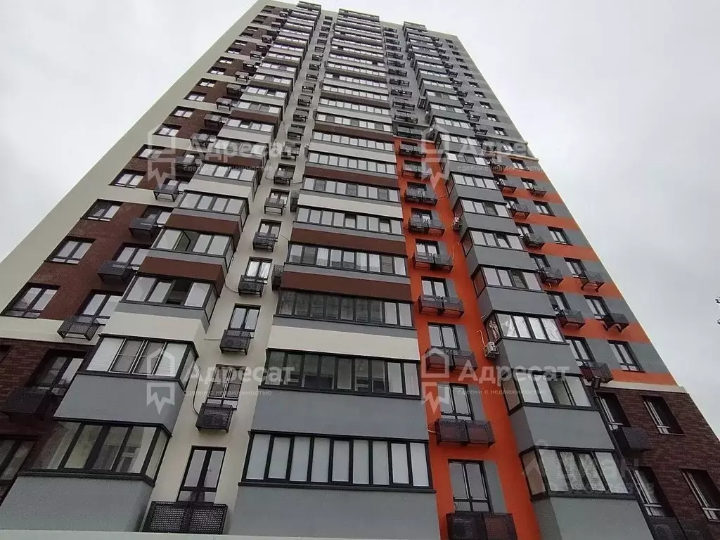 1-к кв. Волгоградская область, Волгоград ул. Степанищева, 2А (38.38 м) - Фото 2