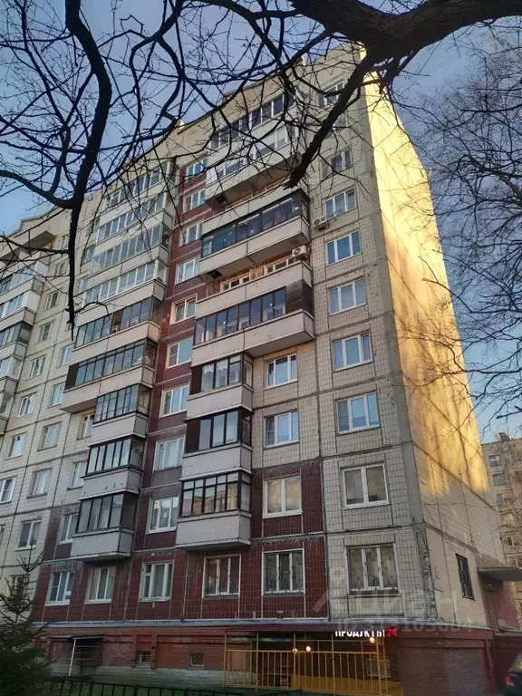 1-к кв. Санкт-Петербург ул. Софьи Ковалевской, 13К1 (33.7 м) - Фото 1