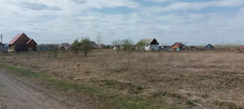 Участок в Кемеровская область, Кемеровский район, с. Елыкаево ... - Фото 0