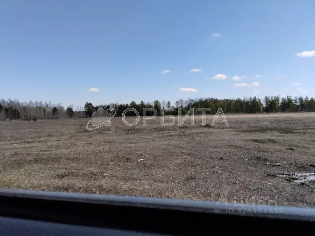 Участок в Тюменская область, Нижнетавдинский муниципальный округ, пос. ... - Фото 2