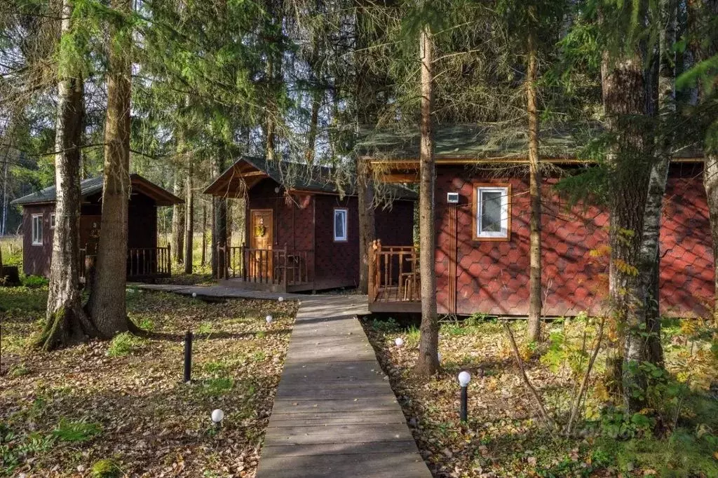 Дом в Московская область, Истра муниципальный округ, Березовка хут.  ... - Фото 2