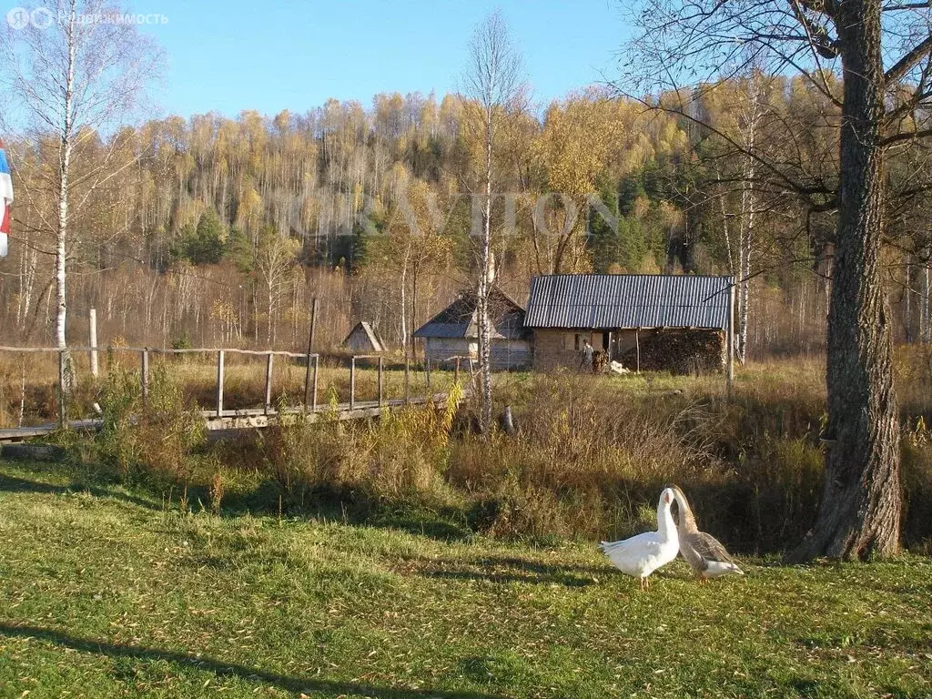 Помещение свободного назначения (103 м) - Фото 1