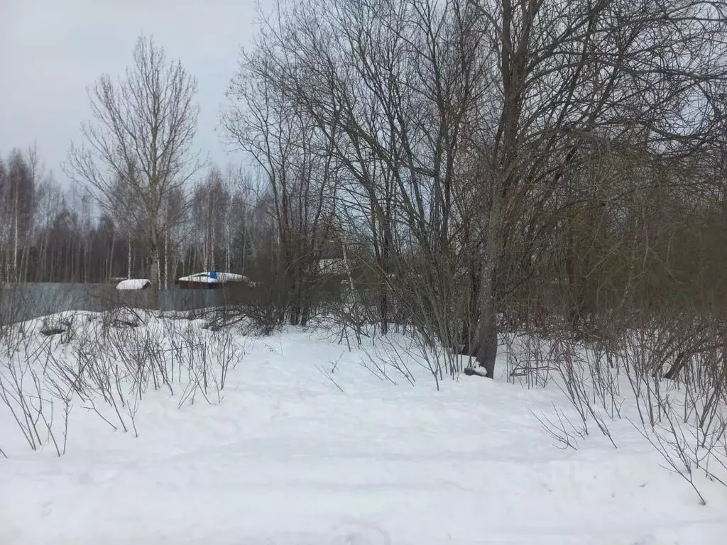 Участок в Тверская область, Конаковский муниципальный округ, Козлово ... - Фото 1