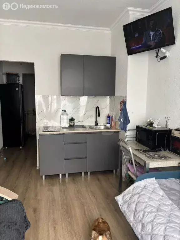 Квартира-студия: Ярославль, Шандорная улица, 14 (21.7 м) - Фото 2