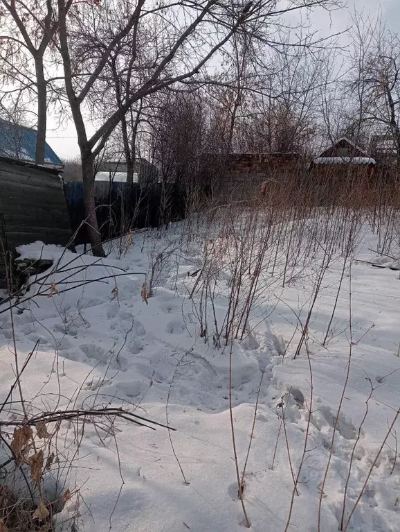 Дом в Челябинская область, Челябинск Дружба СНТ,  (10 м) - Фото 2