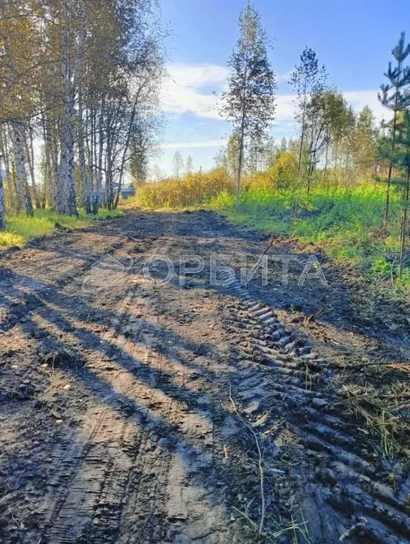 Участок в Тюменская область, Тюмень Медик СНТ,  (18.0 сот.) - Фото 0