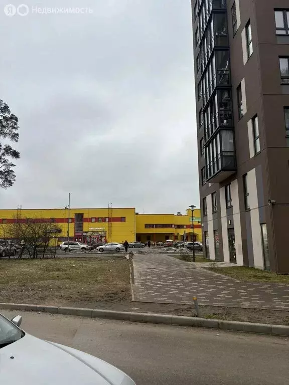 Помещение свободного назначения (52 м) - Фото 1