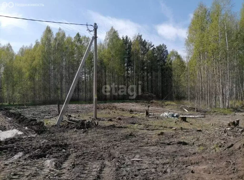 Участок в Тобольск, микрорайон Усадьба (9.3 м) - Фото 1