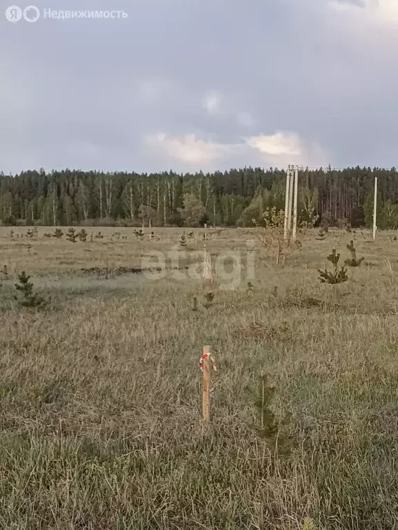 Участок в Поспеловское сельское поселение, посёлок Луговой (10 м) - Фото 1