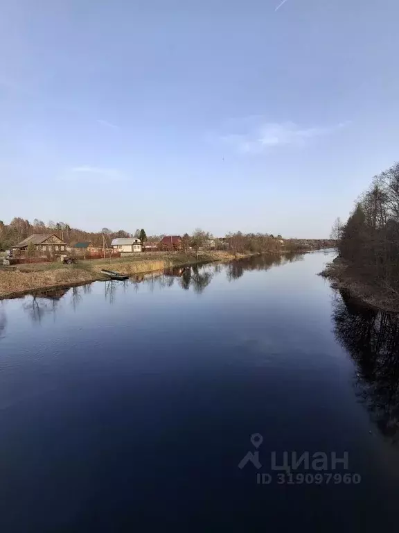 Участок в Вологодская область, Кадуйский муниципальный округ, ... - Фото 0