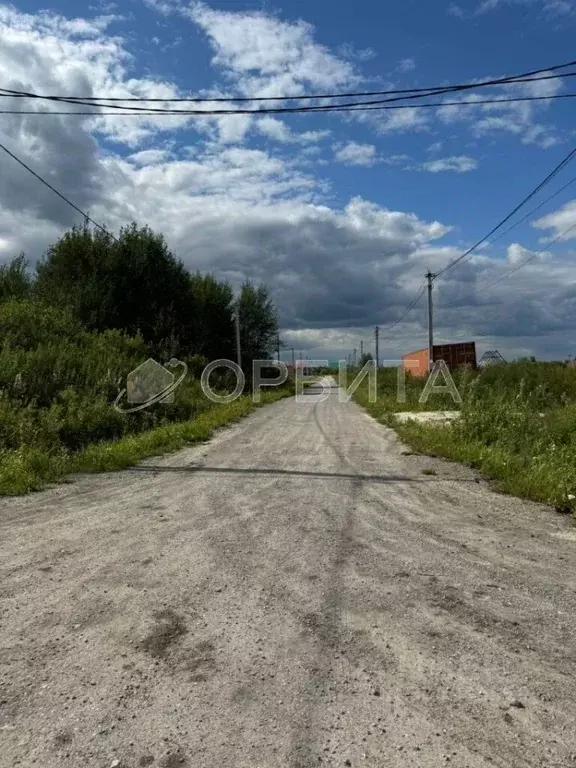 Участок в Тюменская область, Тюменский район, с. Борки ул. Луговая ... - Фото 1