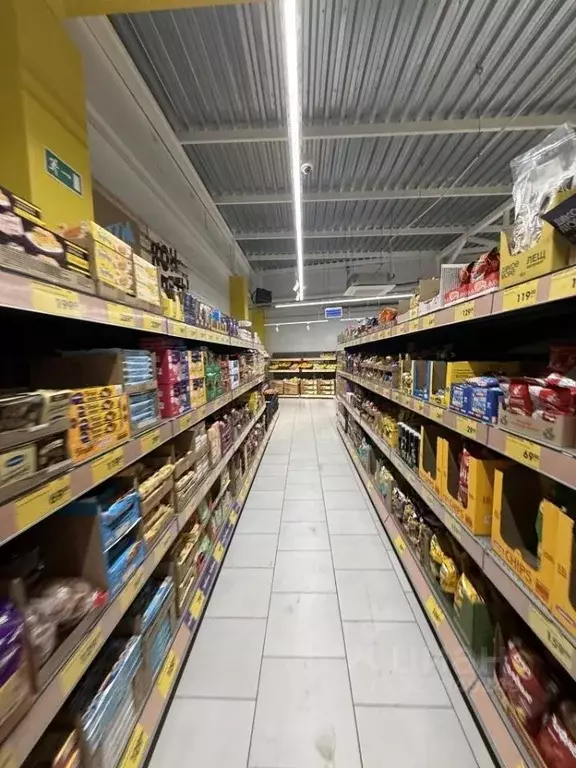 Торговая площадь в Ростовская область, Ростов-на-Дону пос. Чкаловский, ... - Фото 2