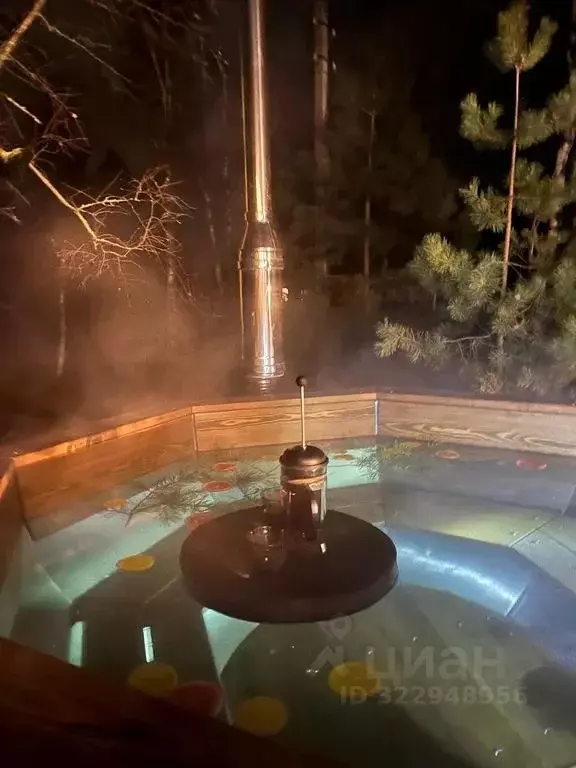 Дом в Рязанская область, Спасский муниципальный округ, д. Сумбулово ... - Фото 2